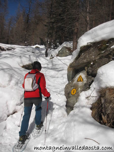 rifugio ferraro